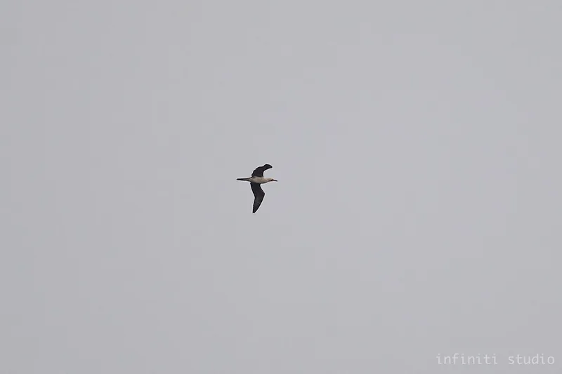 img1