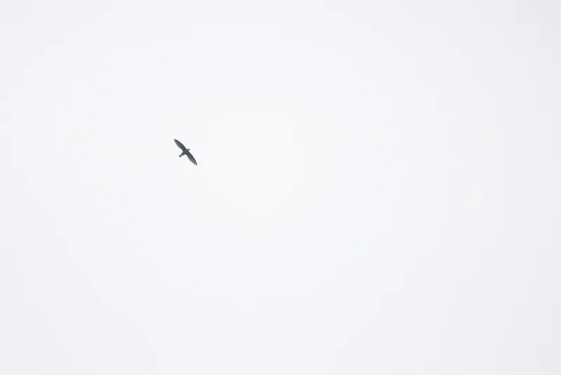 img1
