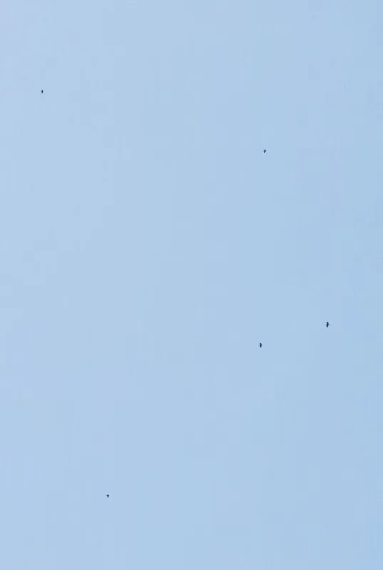 img1