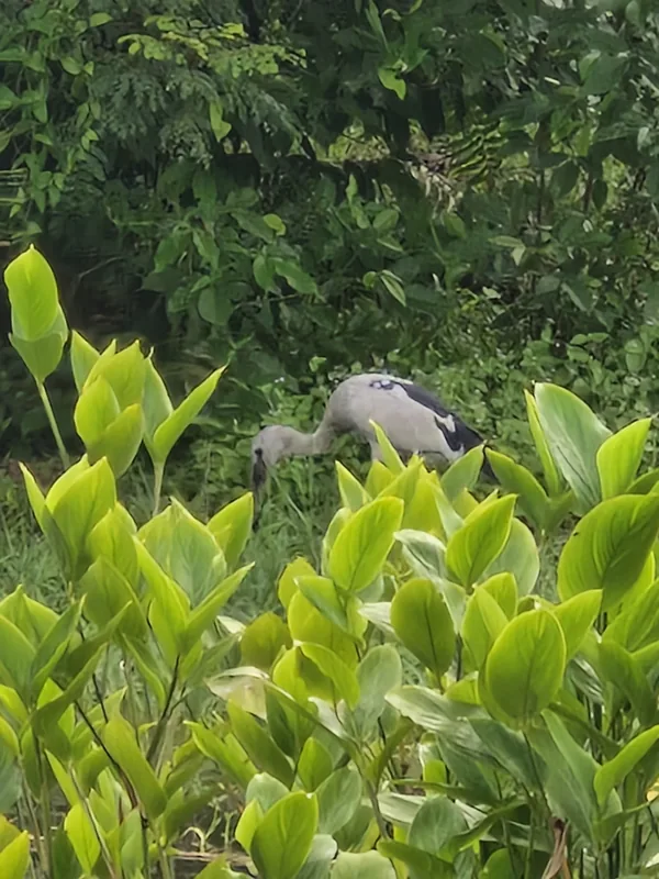img1