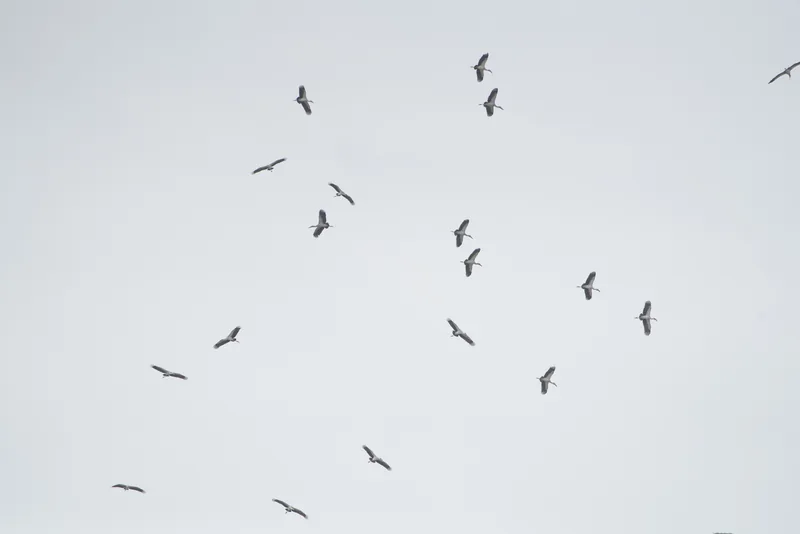 img1