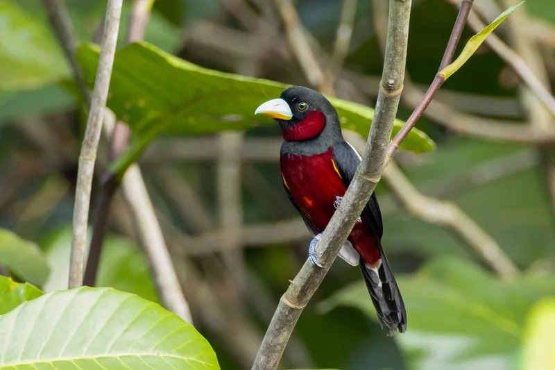 Photo credit: Weekend Birder
