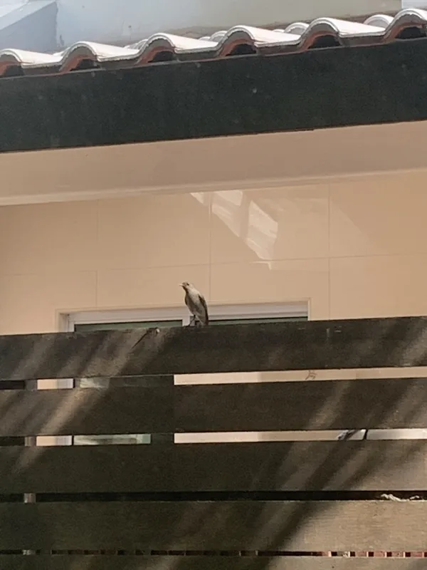 img1
