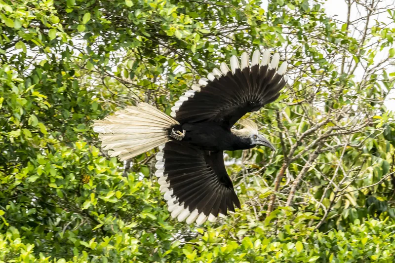 Photo credit: Han Jinchi