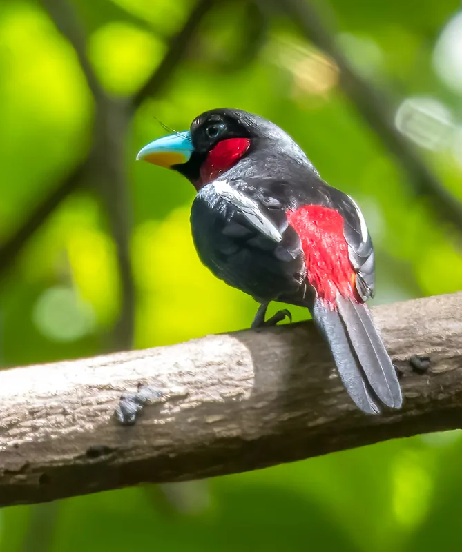 Photo credit: Herman Phua