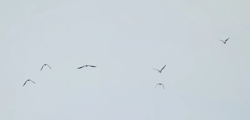 img1