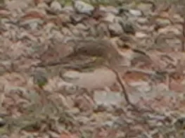 img1