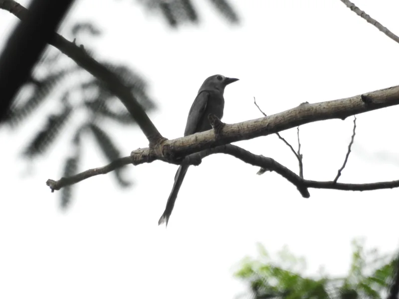 Photo credit: Xu Weiting