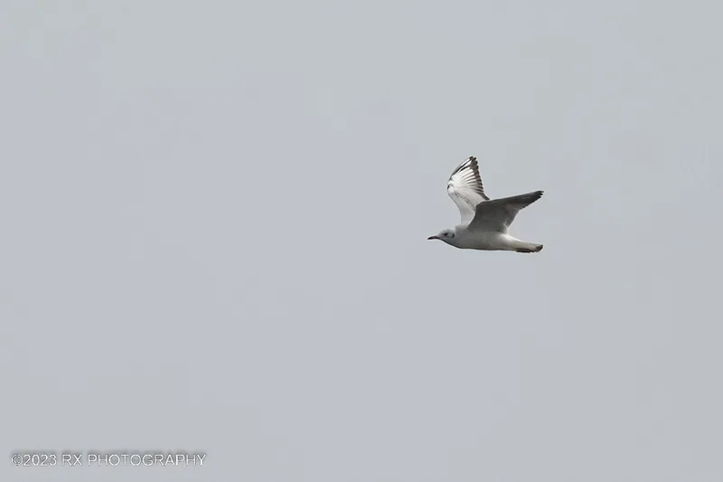 Photo credit: Ah Heng