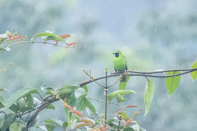 Photo credit: Max Khoo