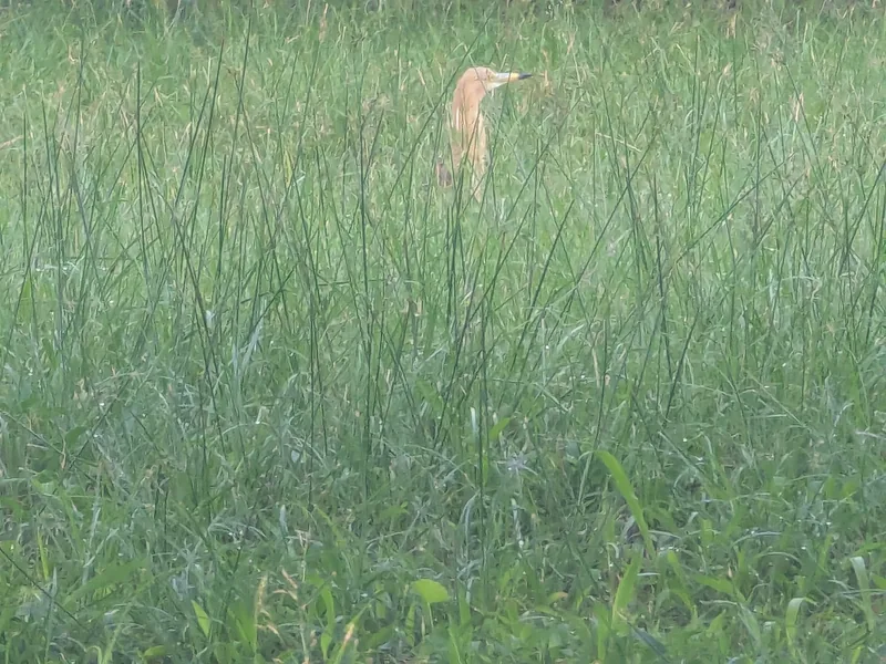 img1