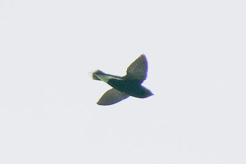 img1