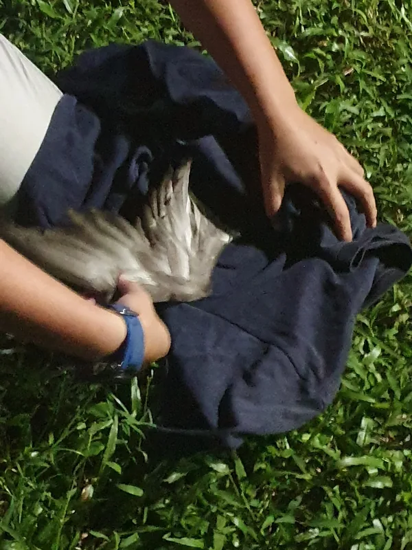 img1