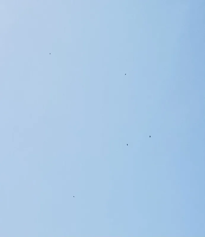 img1