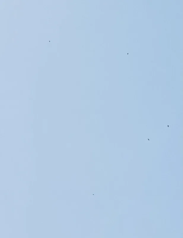 img1
