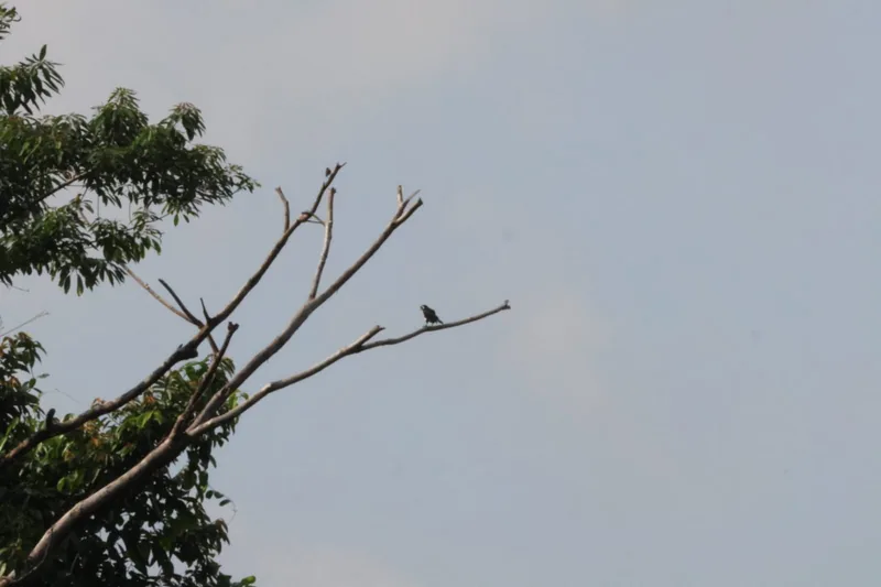 Photo credit: Kiang Wenting